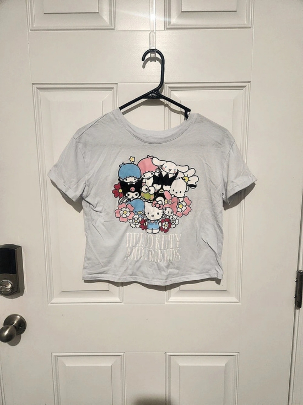 Sanrio Hello Kitty and Friends Graphic Cropped T-Shirt Graphic T-Shirt Girls XL